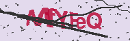 Captcha認証コード